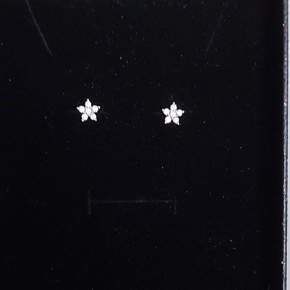 14K White Gold Plated Flower Earrings - Picture 10 of 12